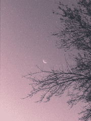 조금은 높아진 파도가 된다면_해환 시선집