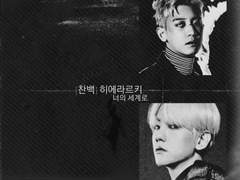 [찬백] 히에라르키.