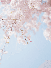 너는 나의 봄이다