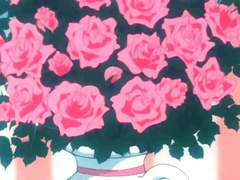 瀬名 泉♥雨宮 雛