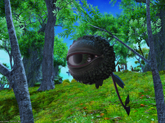 [Take to the Skies] [신종 식물은 저 하늘로]