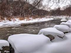 겨울 강가를 걷다/이도은