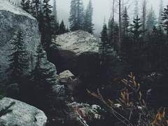 Sabrina Anderson / 라그나로크 / 가이드