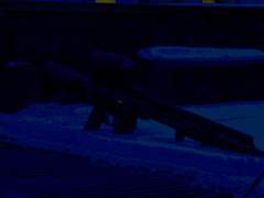 [라이셰리] 유령의 수렁