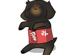 콜라훈트🐶