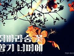 쥐바라숭 꽃 향기 너머에