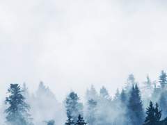 겨울 숲 속의 남은 차가운 입김