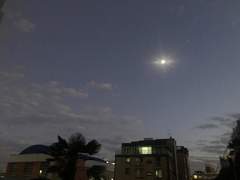 지키고 싶은 행운