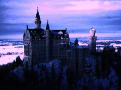 침몰과 사랑이 이끄는 대로