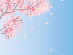 우리의 빛을 향해