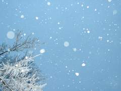 약간은 교과서적인 말