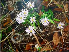 한 편의 글/이도은