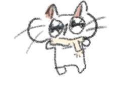 코로나19 백신을 맞고 그 다음 날