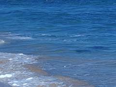 제목을 입력하세요