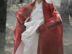 붉은 쓰개치마 上