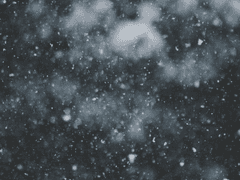 겨울, 그 끝자락에서 *