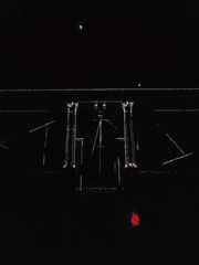 마음의 창이 뿌리내린 곳