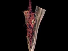 05 아무것도 없는