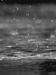 reminisce on memories(기억 속 추억)