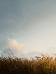 헌헌전독시 크오