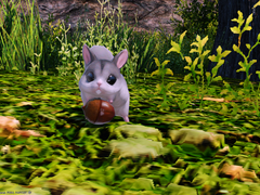 [Secret in the Box] [상자 속에 잠든 비밀]