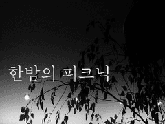 한밤의 피크닉 36