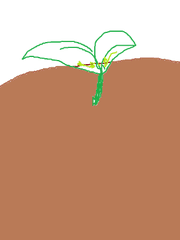 캘리포니아 감자밭의 왕자님