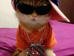 정씨네 가문 TALK 00