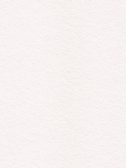 내 점수를 올리다