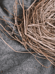 제비는 오지 않았다.