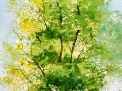 나무 처럼 데고 싶어요.