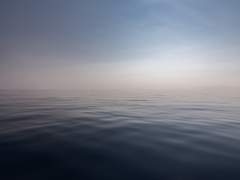 그는 시선을 돌려 이쪽을 바라보았다.