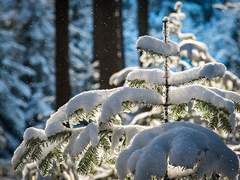 이곳은 정말 아름다운 곳이 아닌가 싶네.