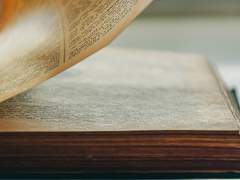 윤석자두 단편 上