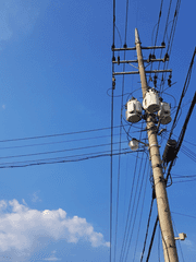 그 오메가의 사정