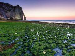 파래의 시간/이도은