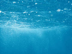 학교, 조사, 탈출