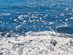 [211202] Did you miss me?