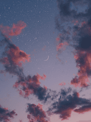 당신 없는 하늘.