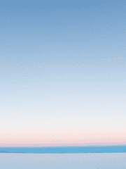 주술회전 드림 / 카피페