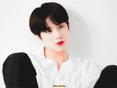 엔시티 나페스 추천