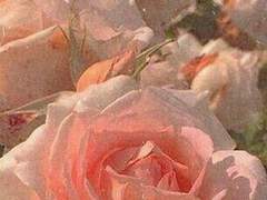 ⚠️ 불쌍함, 두려움, 증오 그리고...