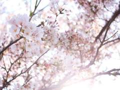 누군가를 기리는 방법.