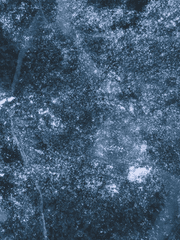 리샤의 저택 일기