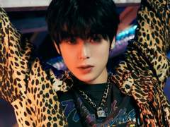 모여봐요! 동물의 숲 5