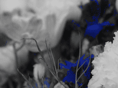 Prol. 자기 소개서