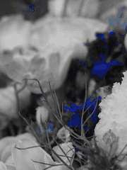 그냥 어딘가에는 있을 법한 이야기.