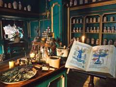 마법사에 대해서 많이 알고 계신가요?