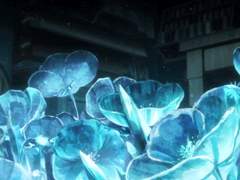 겨울를 좋아하는 트레이너