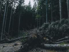 예상치 못한 날은